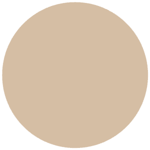 CC 012 - Manhattan Camel