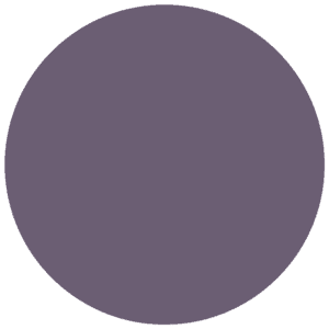 CC 058 - Jersey Aubergine