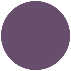 CC 060 - Toulon Aubergine