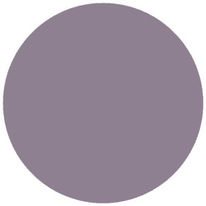 CC 062 - Kansas Violet