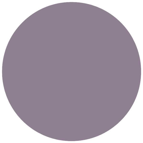 CC 062 - Kansas Violet