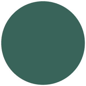 CC 087 - Everton Dark Green