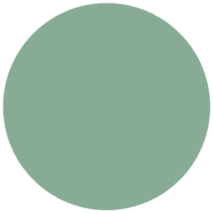 CC 088 - Muscat Peppermint