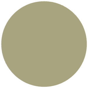 CC 095 - Saint George Military