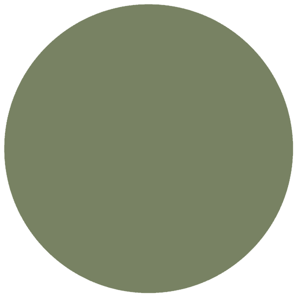 CC 099 - Bridgetown Olive