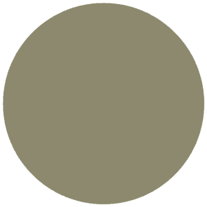 CC 311 - Valencia Olive
