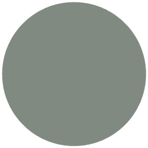 CC 312 - Jalingo Jungle