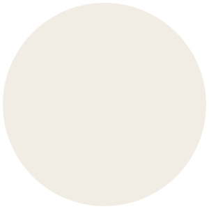 CC 401 - Himalaya Snow