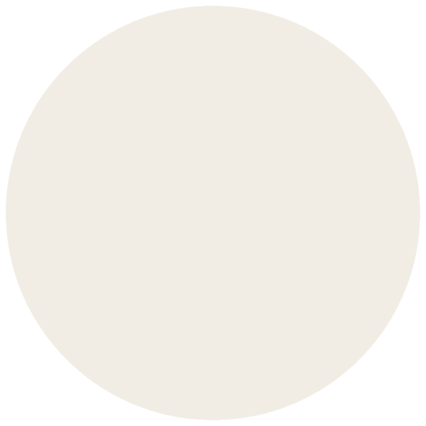 CC 401 - Himalaya Snow