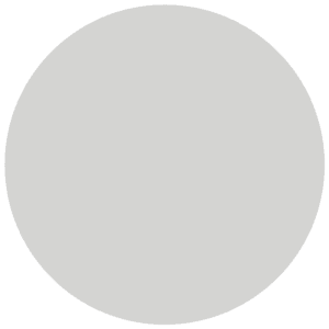 CC 514 - Minsk Grey