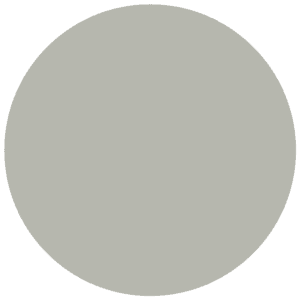 CC 526 - Riga Mouse