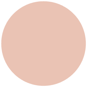 CC 538 - Reykjavik Salmon