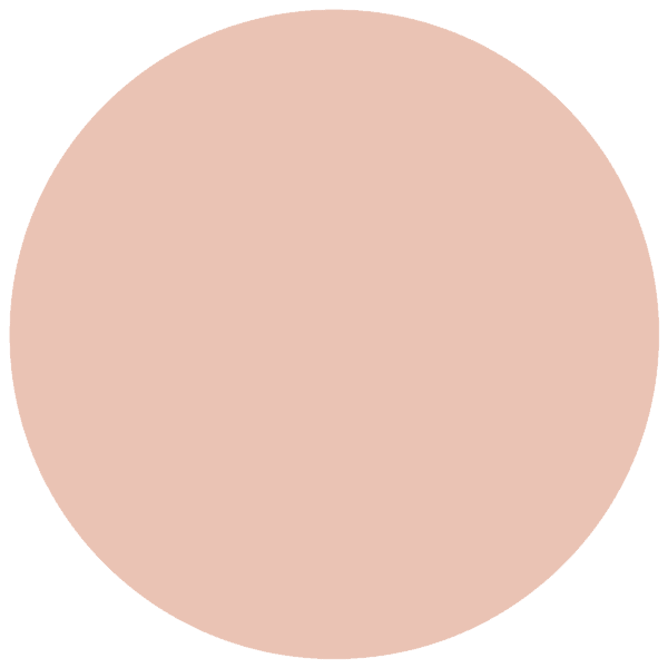 CC 538 - Reykjavik Salmon
