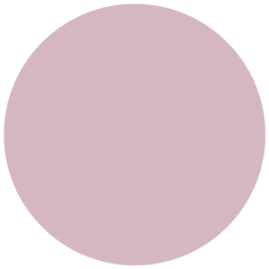 CC 542 - Bordeaux Tulip