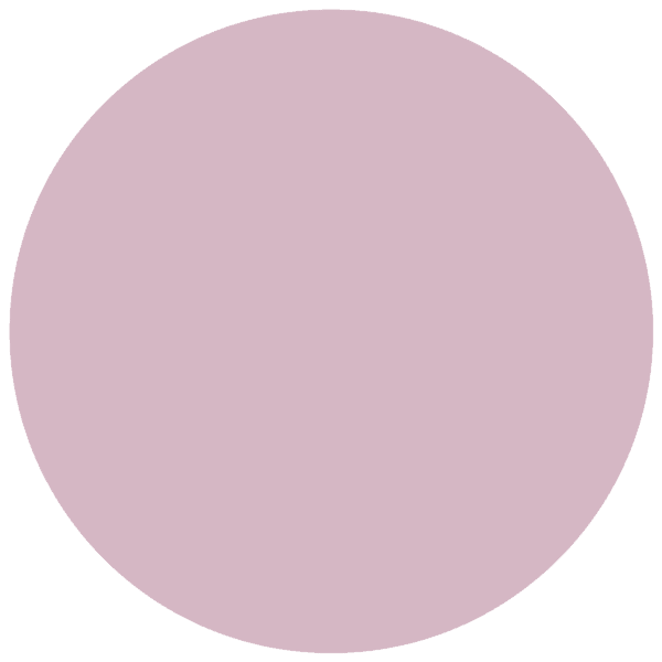 CC 542 - Bordeaux Tulip