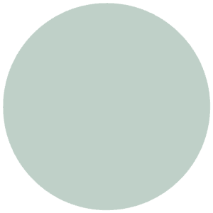 CC 563 - Newport Mint