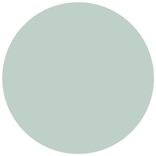 CC 563 - Newport Mint