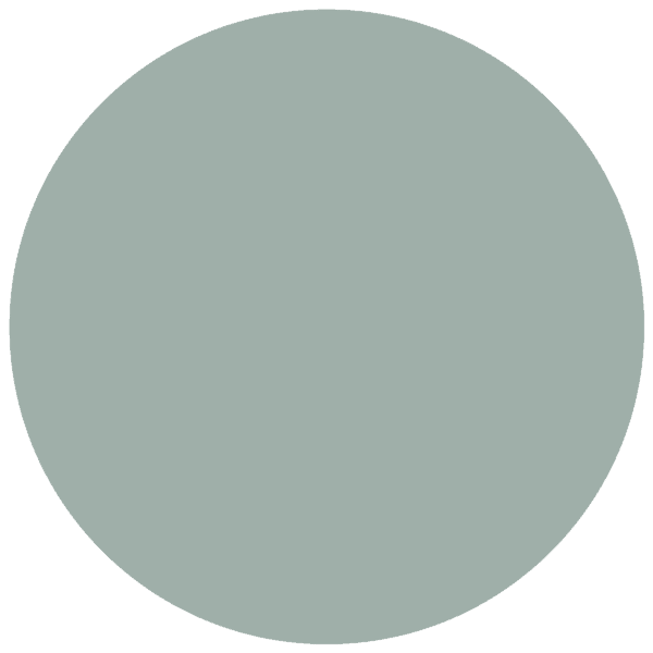 CC 566 - Lucca Olive