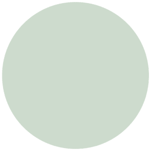 CC 569 - York Peppermint