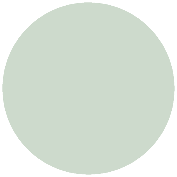 CC 569 - York Peppermint