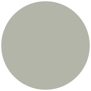 CC 570 - Alicante Avocado