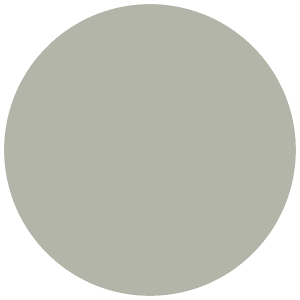 CC 570 - Alicante Avocado