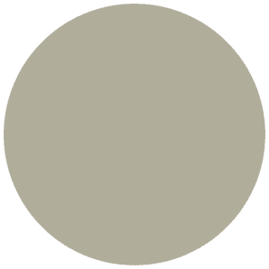 CC 571 - Honolulu Palm