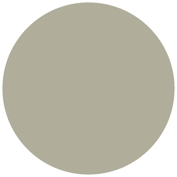 CC 571 - Honolulu Palm