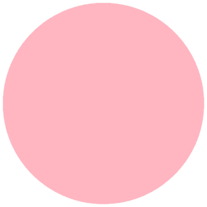 CC 041 - Philadelphia Rose