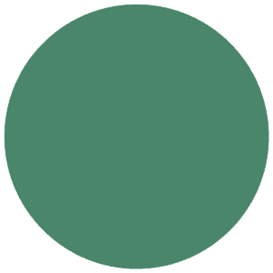 CC 1003 - Albany Evergreen