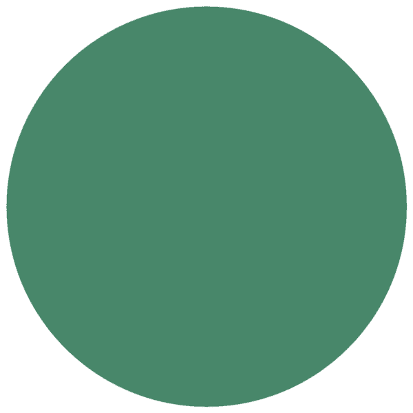 CC 1003 - Albany Evergreen