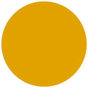 CC 1008 - Baltimore Mustard