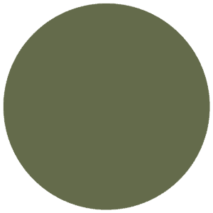 CC 1002 - Virginia Olive