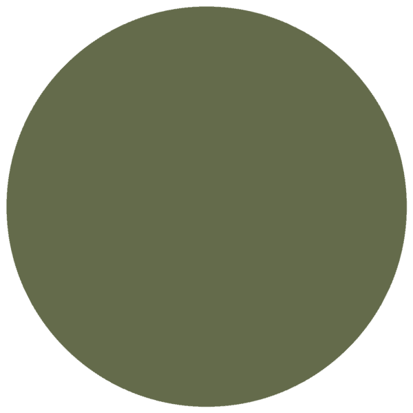CC 1002 - Virginia Olive