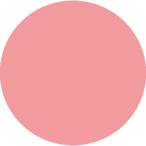 CC 1102 - Aruba Flamingo