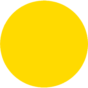 CC 1105 - Jamaica Pineapple
