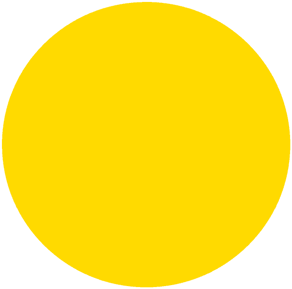 CC 1105 - Jamaica Pineapple