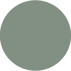 CC 1201 - Seattle Haze