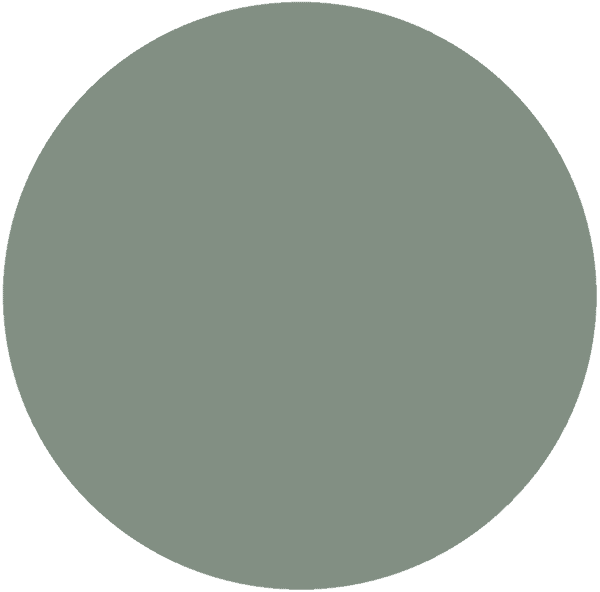 CC 1201 - Seattle Haze
