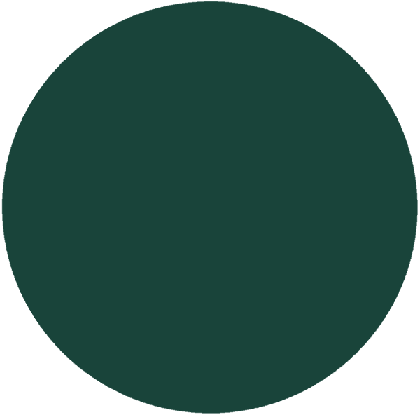 CC 1305 - Tannenwald