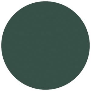 CC 583 - Brighton Forest