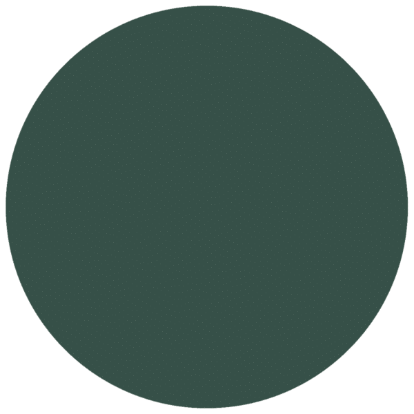 CC 583 - Brighton Forest