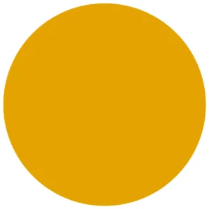 CC 1008 - Baltimore Mustard