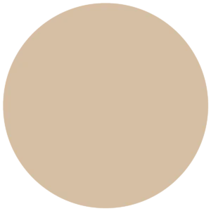 CC 012 - Manhattan Camel