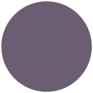 CC 058 - Jersey Aubergine