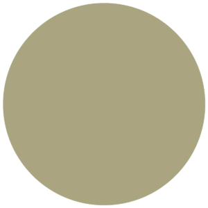 CC 095 - Saint George Military