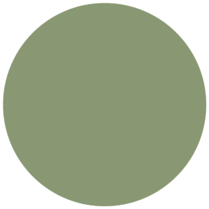 CC 098 - Bristol Military