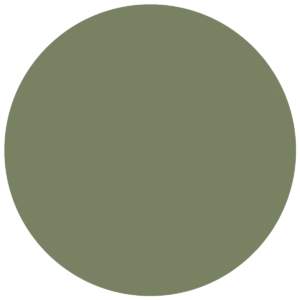 CC 099 - Bridgetown Olive
