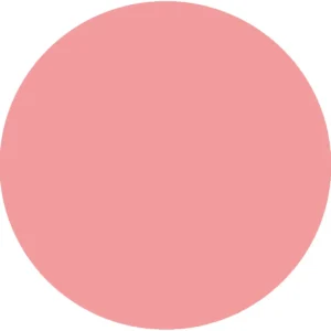 CC 1102 - Aruba Flamingo