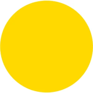 CC 1105 - Jamaica Pineapple